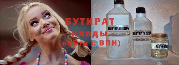 прущие грибы Коряжма