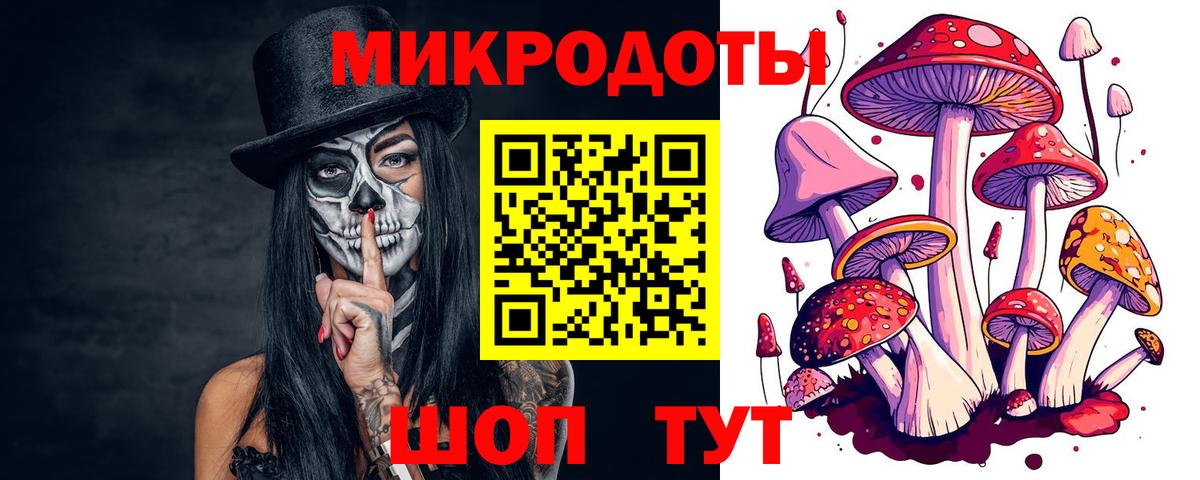 Галлюциногенные грибы ЛСД Кингисепп