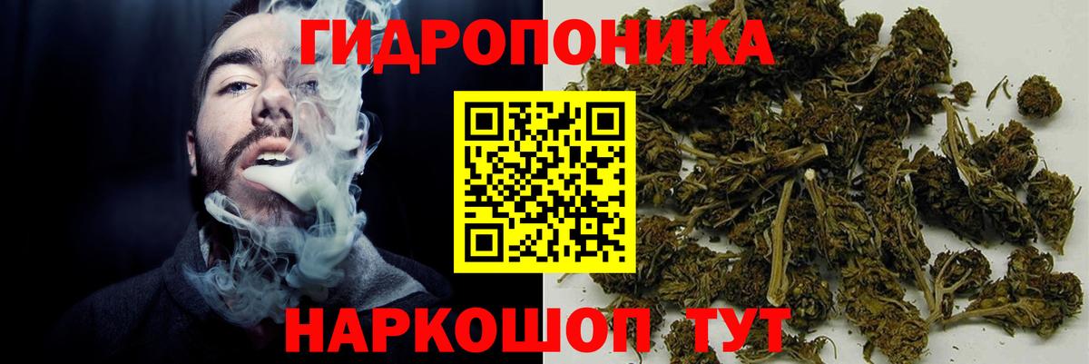 Канабис тримм  Бошки марихуана VHQ  Кингисепп  Вход с VPN  Конопля сатива 
